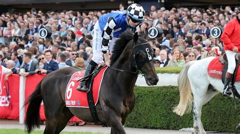 dividends in betting and odds